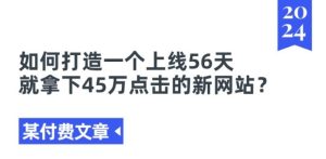 某付费文章《如何打造一个上线56天就拿下45万点击的新网站?》-董叔项目网