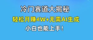 冷门赛道大揭秘，轻松月赚1W+无需AI生成，小白也能上手【揭秘】-董叔项目网