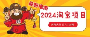 价值1980更新2024淘宝无货源自然流量， 截流玩法之选品方法月入1.9个w【揭秘】-董叔项目网