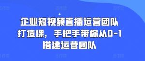 企业短视频直播运营团队打造课，手把手带你从0-1搭建运营团队-董叔项目网