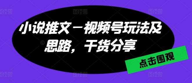 小说推文—视频号玩法及思路，干货分享-董叔项目网