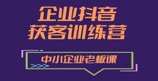 企业抖音营销获客增长训练营，中小企业老板必修课-董叔项目网