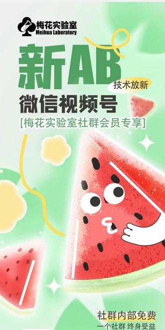 梅花实验室2024年AB技术视频号AB合成破解版-董叔项目网