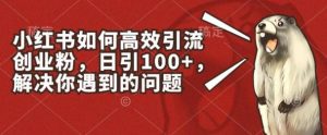小红书如何高效引流创业粉，日引100+，解决你遇到的问题【揭秘】-董叔项目网