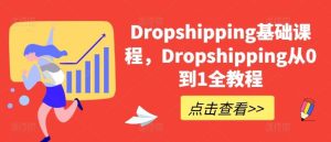 Dropshipping基础课程，Dropshipping从0到1全教程-董叔项目网