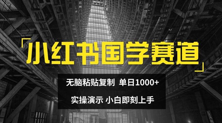 小红书国学赛道，无脑粘贴复制，单日1K，实操演示，小白即刻上手【揭秘】-董叔项目网
