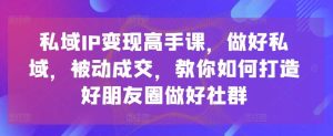 私域IP变现高手课，做好私域，被动成交，教你如何打造好朋友圈做好社群-董叔项目网