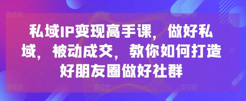 私域IP变现高手课，做好私域，被动成交，教你如何打造好朋友圈做好社群-董叔项目网