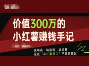 价值300万的小红书赚钱手记,变现高、链路短、轻运营,这波“小红薯风口”不能再错过-董叔项目网