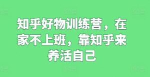 知乎好物训练营，在家不上班，靠知乎来养活自己-董叔项目网