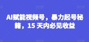 AI赋能视频号,暴力起号秘籍,15 天内必见收益【揭秘】-董叔项目网