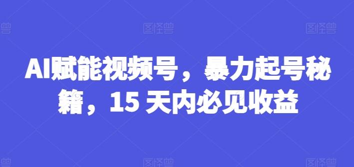 AI赋能视频号，暴力起号秘籍，15 天内必见收益【揭秘】-董叔项目网