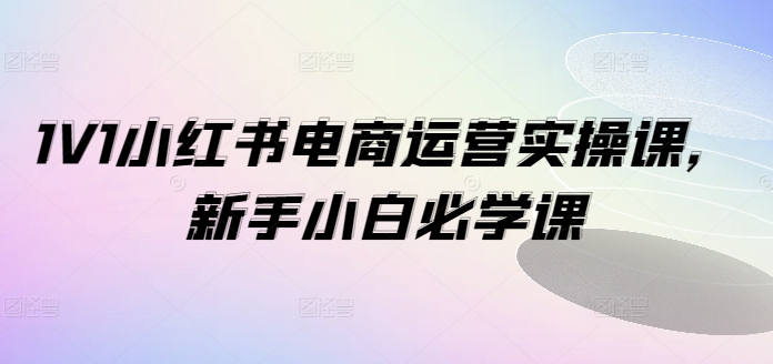 1V1小红书电商运营实操课，新手小白必学课-董叔项目网