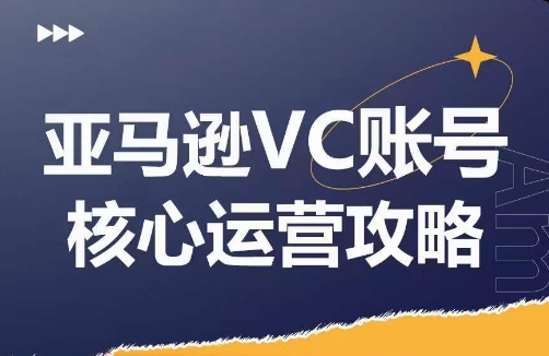 亚马逊VC账号核心玩法解析，实战经验拆解产品模块运营技巧，提升店铺GMV，有效提升运营利润-董叔项目网