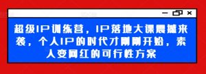 超级IP训练营，IP落地大课震撼来袭，个人IP的时代才刚刚开始，素人变网红的可行性方案-董叔项目网