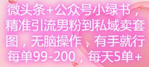 微头条+公众号小绿书，精准引流男粉到私域卖套图，无脑操作，有手就行，每单99-200，每天5单-董叔项目网