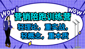 营销陪跑训练营，轻理论，重实战，轻概念，重本质，适合中小企业和初创企业的老板-董叔项目网