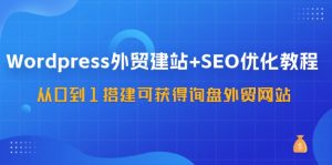 WordPress外贸建站+SEO优化教程，从0到1搭建可获得询盘外贸网站(57节课)-董叔项目网