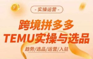 跨境拼多多TEMU实操与选品，多多temu跨境选品运营实操-董叔项目网