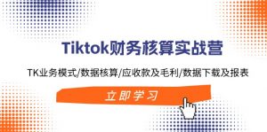 Tiktok财务核算实战营：TK业务模式/数据核算/应收款及毛利/数据下载及报表-董叔项目网