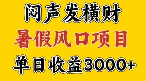 30天赚了7.5W 暑假风口项目,比较好学,2天左右上手-董叔项目网