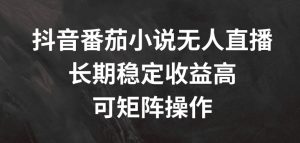 抖音番茄小说无人直播，长期稳定收益高，可矩阵操作【揭秘】-董叔项目网