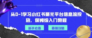 从0-1学习小红书聚光平台信息流投放，保姆级入门教程-董叔项目网