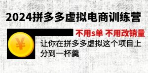 2024拼多多虚拟电商训练营 不s单 不改销量 做虚拟项目分一杯羹(更新10节-董叔项目网
