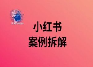 小红书案例拆解，深度解读小红书40万粉-董叔项目网