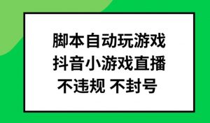 脚本自动玩游戏,抖音小游戏直播,不违规不封号可批量做【揭秘】-董叔项目网