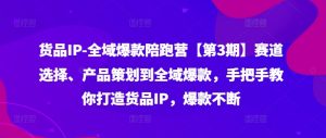 货品IP全域爆款陪跑营【第3期】赛道选择、产品策划到全域爆款,手把手教你打造货品IP,爆款不断-董叔项目网