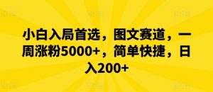 小白入局首选，图文赛道，一周涨粉5000+，简单快捷，日入200+-董叔项目网