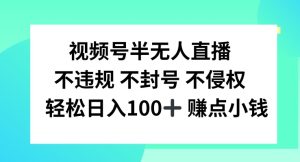 视频号半无人直播，不违规不封号，轻松日入100+【揭秘】-董叔项目网