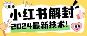 2024最新小红书账号封禁解封方法，无限释放手机号【揭秘】-董叔项目网