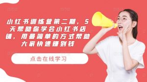 小红书训练营第二期，5天帮助你学会小红书店铺，用最简单的方式帮助大家快速赚到钱-董叔项目网