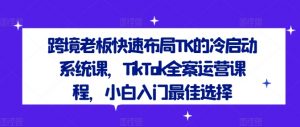 跨境老板快速布局TK的冷启动系统课，TikTok全案运营课程，小白入门最佳选择-董叔项目网