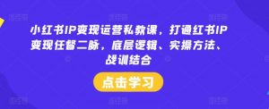 小红书IP变现运营私教课，打通红书IP变现任督二脉，底层逻辑、实操方法、战训结合-董叔项目网