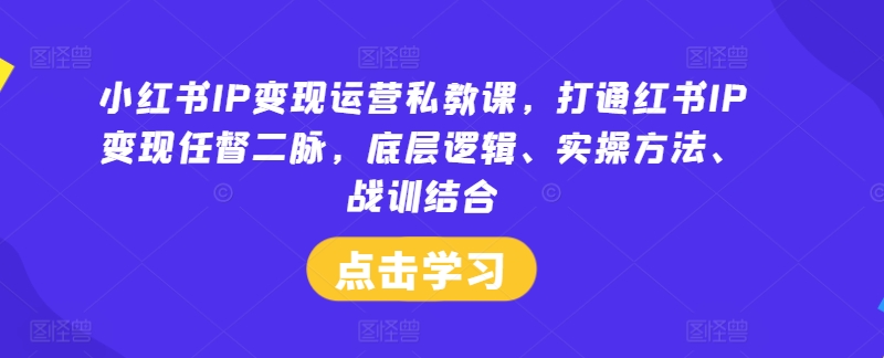 小红书IP变现运营私教课，打通红书IP变现任督二脉，底层逻辑、实操方法、战训结合-董叔项目网