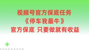 视频号官方保底任务，停车我最牛，官方保底只要做就有收益【揭秘】-董叔项目网