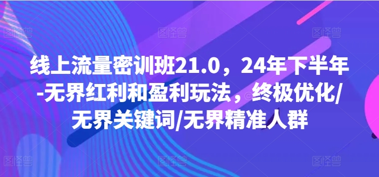 线上流量密训班21.0，24年下半年-无界红利和盈利玩法，终极优化/无界关键词/无界精准人群-董叔项目网