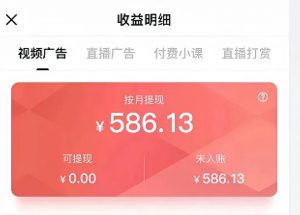 搜狐视频掘金新玩法,用这个方法,小白也能月入8000+(附详细教程)-董叔项目网