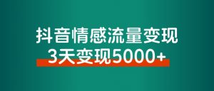 抖音情感流量变现,一个赛道模板3天变现5000+-董叔项目网