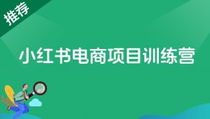 【2024.10.8更新】小红书电商项目训练营:从选品到出单 全套项目课程+实操经历复盘-董叔项目网