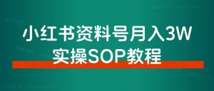 新人小白,如何10分钟制作出一条破百粉视频?-董叔项目网