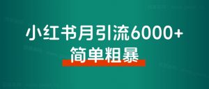 小红书月引流6000+,简单粗暴!从博主玩法迭代矩阵玩法2.0版,经验分享-董叔项目网