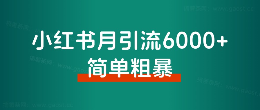 小红书月引流6000+，简单粗暴！从博主玩法迭代矩阵玩法2.0版，经验分享-董叔项目网