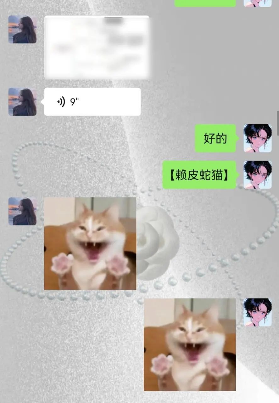 00后用AI给自己打工,仅4小时搞懂一个陌生行业如何变现!