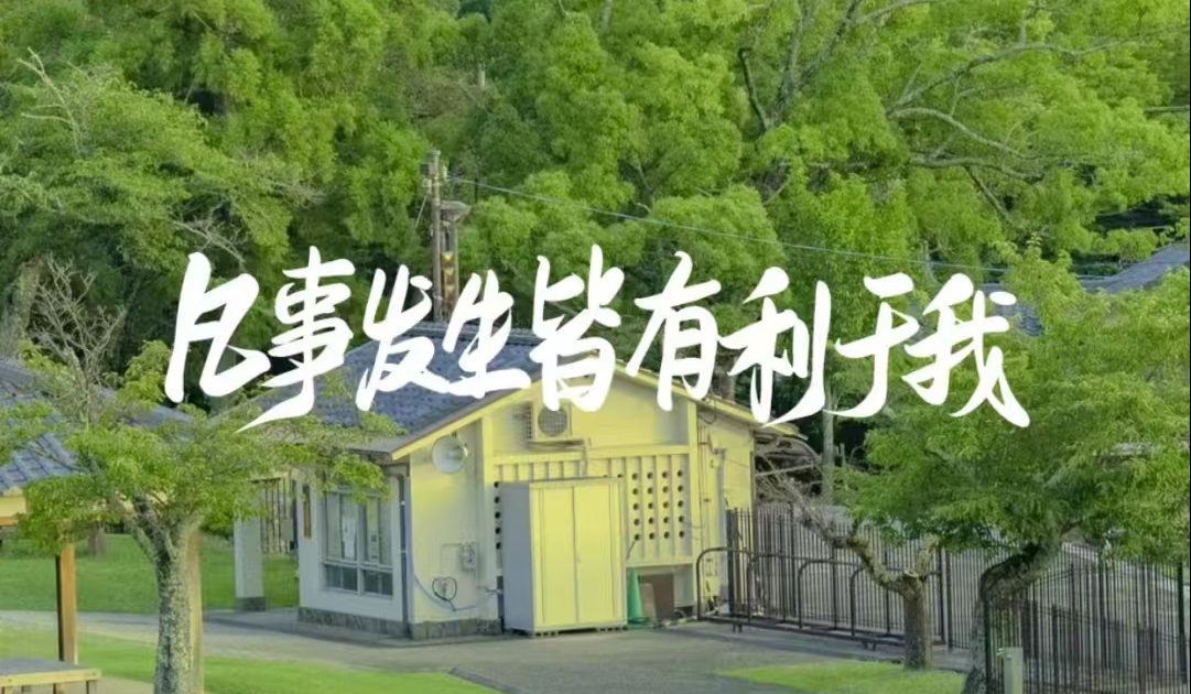 分类-脚本挂机-董叔项目网