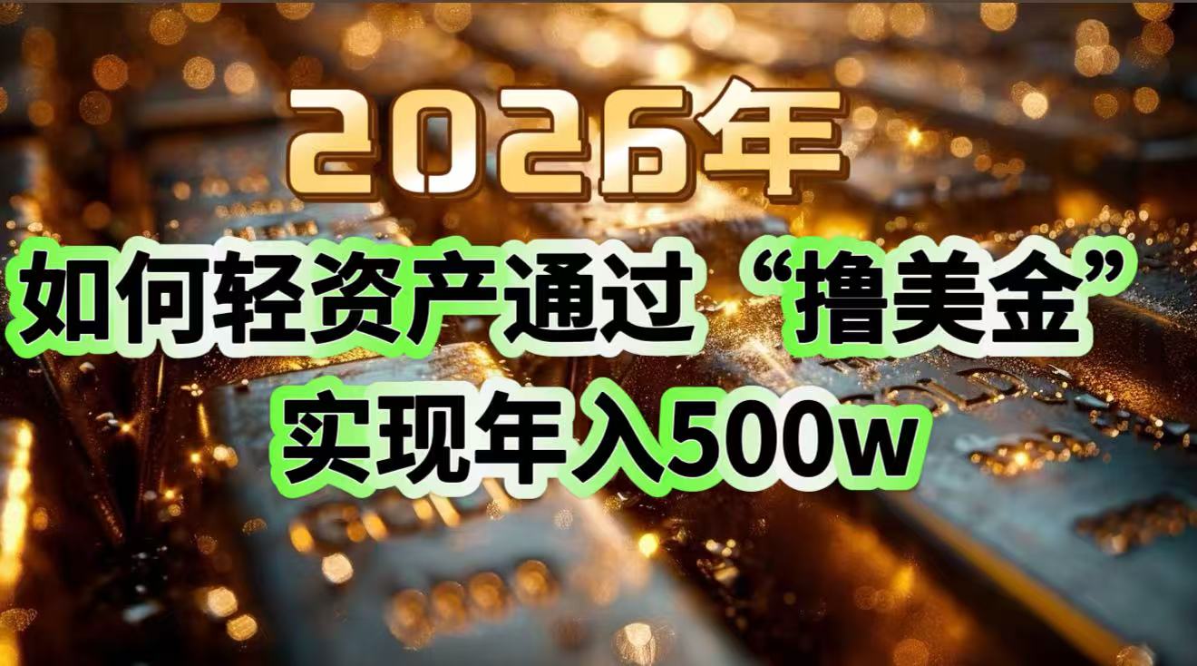 2026年如何轻资产通过“撸美金”实现年入500w-董叔项目网