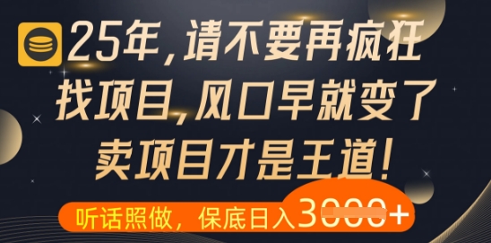 什么？25年你还在疯狂找项目做，醒醒吧，看完这些你全都懂了【揭秘】-董叔项目网